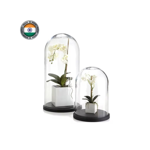 Cloche en verre de couleur personnalisée de style populaire avec pot de dôme en verre de lumières à bas prix - Product Image 6
