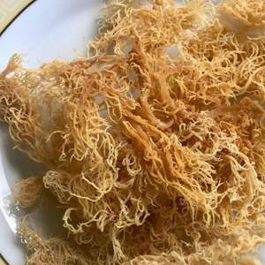 GCAP Sea Moss-Musgo irlandés-Seamoss Raw Organic-Dry Sea Moss - Natural Wildcrafted Seamoss - Product Image 4