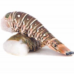 Langostas del Caribe Congeladas Premium, Enteras, Frescas, Calidad de Exportación, Suministro a Granel para Compradores Internacionales - Product Image 3