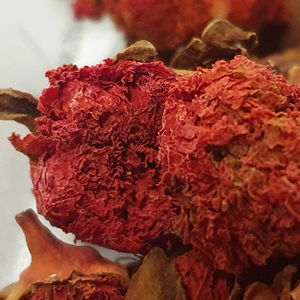 Mejor precio 2024 venta al por mayor de alta calidad OEM embalaje personalizado Granada flores secas almacenamiento fresco Rosa flores servicio OEM - Product Image 1