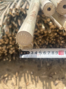แท่งไม้ไผ่และเสาไม้ไผ่ขนาดใหญ่ขนาดเส้นผ่านศูนย์กลาง5-10มม. 2025 - Product Image 2