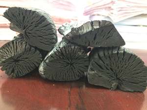 Bâton de charbon de bois de litchi de noix de coco de haute qualité avec motif de coquille noire directement du Vietnam pour les restaurants de narguilé/shisha BBQ - Product Image 4