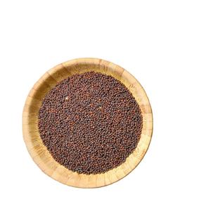 mustard seed whole suppliers