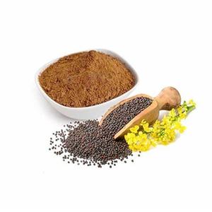 Graines de canola de qualité supérieure à vendre à des prix compétitifs - Product Image 1