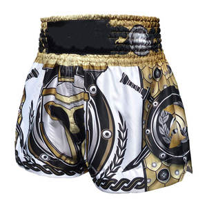 Shorts de combat MMA, vêtements de combat, légers, extensibles, confortables, respirants, shorts MMA, logo et design personnalisés - Product Image 2