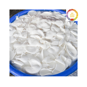 เนื้อมะพร้าวแช่แข็งสดหวานอย่างเป็นธรรมชาติจากเวียดนามเหมาะสำหรับโรงงานผลิตอาหารและขายปลีก - Product Image 1