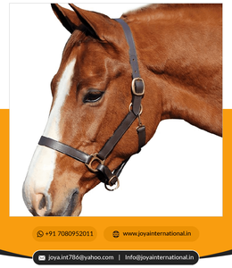 2022คล้องคอหนังอินเดียแบบมีเชือกแขวนคอหนังอเนกประสงค์ - Product Image 6