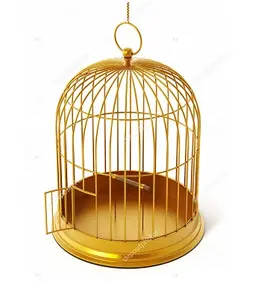 Grande Cage en fer forgé pour oiseaux, perruche, perroquet