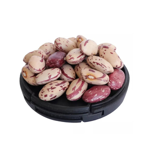 Top One 100% Frijoles de riñón moteados ligeros usados Frijoles de riñón moteados ligeros a la venta Azúcar al por mayor Azúcar - Product Image 1