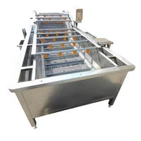 Grote automatische fruit- en groentewasser, schaaldier- en garnalenreinigingsmachine met luchtbellen