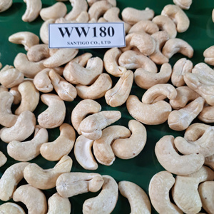 ถั่วเม็ดมะม่วงหิมพานต์ W180แซนทิโกคาจูบาดัมเมล็ดมะม่วงหิมพานต์ W180การกำเนิดภาษีฟรีเวียดนาม - Product Image 1