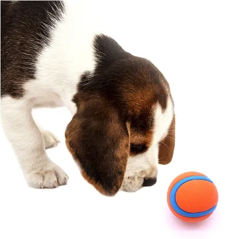 ลูกบอลเด้งทนทาน ลูกบอลของเล่นสุนัข อุปกรณ์สัตว์เลี้ยงที่ดีที่สุด