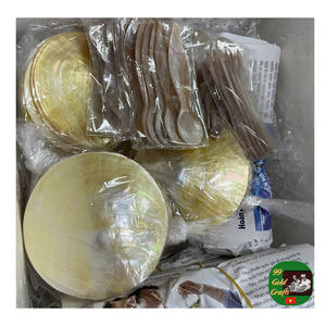 Plat rond, cuillère et assiette en nacre naturelle pour le rangement du savon et la décoration Cuillère en nacre faite à la main pour les amateurs de caviar - Product Image 6