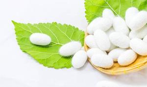 รังไหมเกรดสวยสำหรับทำความสะอาดและขัดผิวอย่างล้ำลึก - Product Image 2