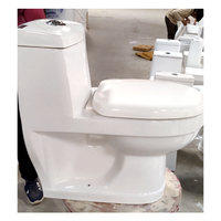 Ensemble de toilettes monobloc de luxe, modèle n° WC mural et sur pied moderne 116 avec réservoir encastré et siphon en P
