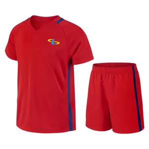 Uniforme de Fútbol Unisex al por Mayor - Conjunto Deportivo Personalizado de Alta Calidad, Transpirable y Ligero de Manga Corta - Product Image 3