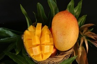 Mangue jaune sucrée surgelée 100% naturelle du Vietnam VDELTA à prix avantageux, durée de conservation 1 an (+84) 904183651