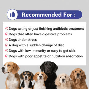 Добавки для ухода за домашними животными, пробиотические жевательные продукты, смешанные пробиотики для собак и кошек, питательные витамины для домашних животных - Product Image 4