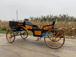 電気高級2列観光キャリッジ/低価格ロイヤルカート電気馬のない観光ガーリー - Product Image 5