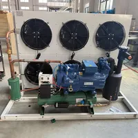 Unité de refroidissement industrielle semi-hermétique à condensation pour système de réfrigération basse température pour chambre froide