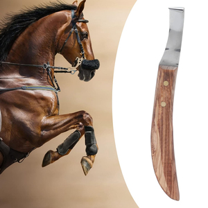 2025 nuevo diseño de cuchillo de pezuña de acero inoxidable mango de madera equipo veterinario reutilizable para diagnóstico venta directa de fábrica - Product Image 6