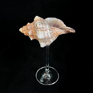 Copa de Vino de Cristal con Diseño de Concha Marina, Estimula la Relajación con Bebidas Lentas y Conscientes, Ideal para Fiestas con Temática Playera y Amantes del Océano - Product Image 5