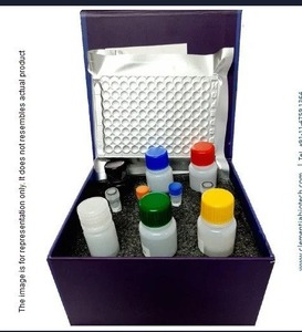 Kit ELISA para MMP9 - Product Image 1