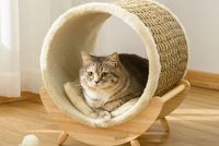 Lit mignon en osier 100% fait à la main pour animaux de compagnie, fournisseur de lit en forme de chat au Vietnam