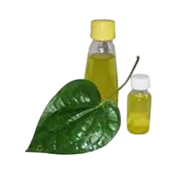 100% Alta Qualidade Orientado À Exportação Betel Leaf Oil Fabricantes Orgânicos Puros Betel Leaf Oil A Preço De Atacado