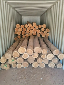 Bois de teck en gros, grumes et bois de construction de haute qualité, diamètre 20 cm+, longueur <5 m, pour meubles modernes - Product Image 4