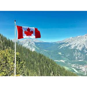 Drapeau canadien 3x5 pieds brodé, robuste, pour extérieur, avec rayures cousues, 320g, œillets en laiton, imprimé numériquement, USA TOP - Product Image 1