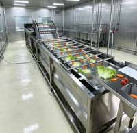 Commerciële fruitwasmachine, drakenvruchtwasmachine, wasmachine voor fruitexport, draagbare fruitwasmachine