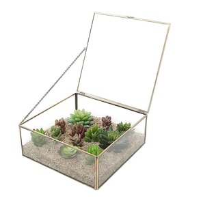 El mejor diseño para comedor, decoración de mesa, Terrario de cristal para Terrario de cristal de metal de la mejor calidad. - Product Image 4