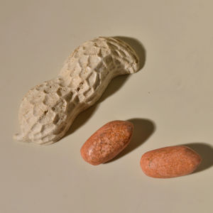 Cacahuetes Chinos Frescos Naturales con Cáscara al por Mayor para Tostar, Refrigerios Salados, Minoristas y Mercados Globales de Productos Básicos - Product Image 4