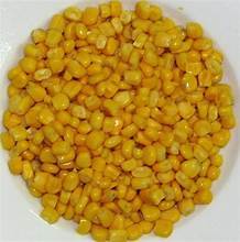 MAÏS SUCRÉ EN CONSERVE NATUREL NOYAU ENTIER SANS OGM ÉTIQUETTE PROPRE SUPPORT IMMUNITAIRE AMIS VÉGAN - Product Image 6