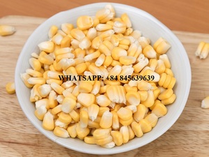 Maïs sucré en conserve de qualité supérieure grains de maïs en conserve légumes de maïs en conserve paquet personnalisé - Product Image 3