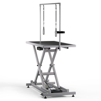 Table de toilettage électrique en acier inoxydable pour animaux de compagnie Équipement de toilettage pour chats et chiens