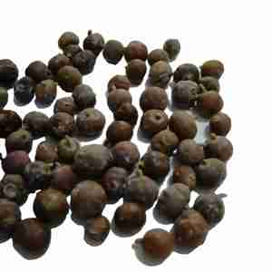 Premium organic juniper berries natural dried bulk supply new season wholesale private label packaging high quality berries - Product Image 6