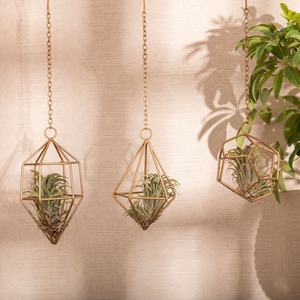 Designer Geometric Gold Finished Metal <b>Hanging</b> <b>Planter</b> <b>For</b> <b>Indoor</b> Plant Arrangement Contemporary Home Styling And Decorative - Product Image 6