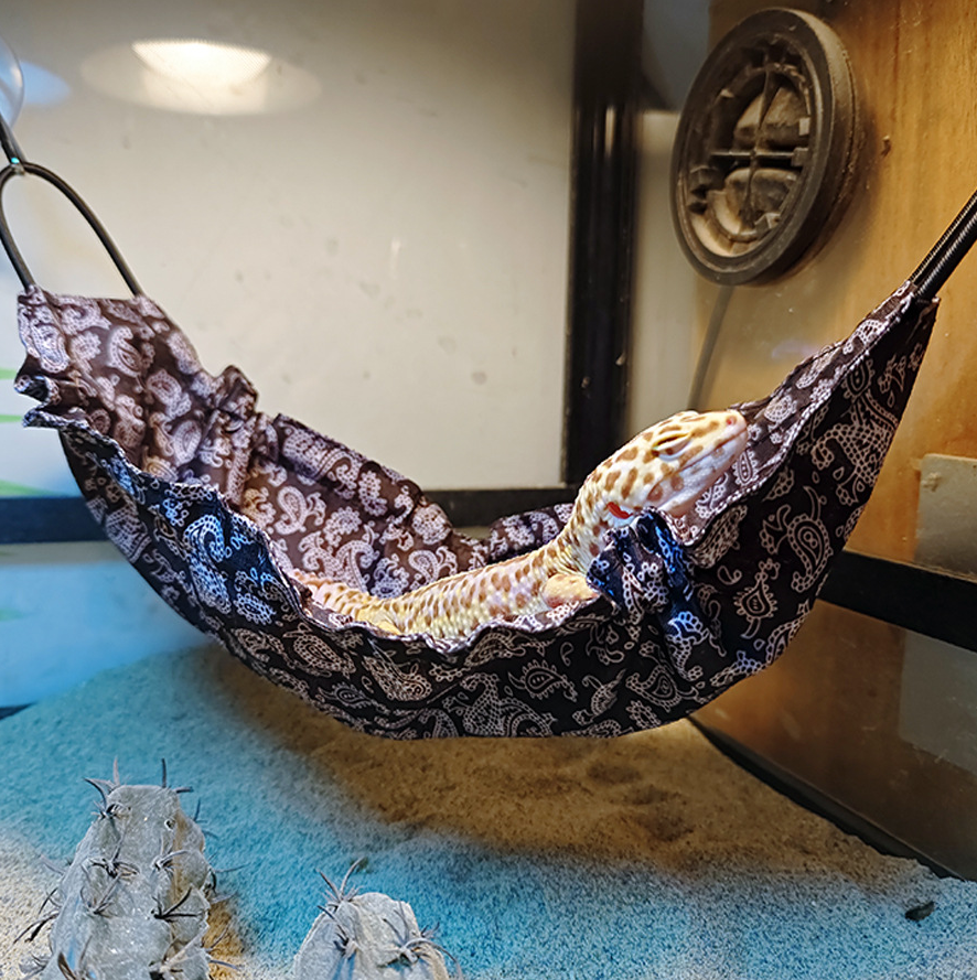 มณฑลเบอร์กันดี