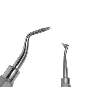 Extractor de raíces dentales profesionales, instrumentos elevadores quirúrgicos manuales para cirugía oral - Product Image 3