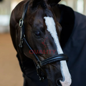 Bride et licou de style selle anglaise confortable pour les cavaliers professionnels à la recherche d'une adhérence extérieure durable - Product Image 2