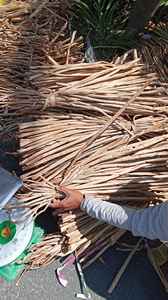 Material de jacinto de agua seca de alta calidad para decoración de sombrero de cesta hecha a mano precio más barato de Vietnam - Product Image 5