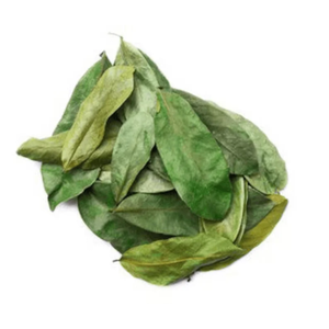 Feuilles de corossol séchées Biologiques Naturelles Annona Muricata GUANABANA GRAVIOLA - Product Image 3