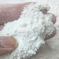 Ingrédient cosmétique de prix usine l'utilisation ordinaire de CAS 98-92-0 de poudre de niacinamide pour la lotion pour le corps de niacinamide