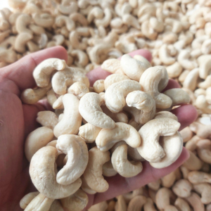 เม็ดมะม่วงหิมพานต์ดิบสด ธรรมชาติ ไม่ใส่เกลือ คุณภาพส่งออก จำนวนมาก - Product Image 6