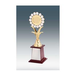 Trofeo de metal personalizado con acabado en oro antiguo con forma creativa, perfecto para celebrar la excelencia profesional y los honores - Product Image 1