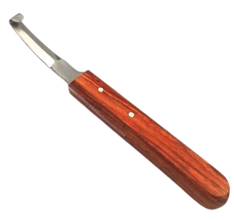 CHAN TARA Hoof Knife L Shape Farrier Tool for Horse, Cow, Cattle Ergonomic & Rust Proof Blade Veterinary instruments Andorra