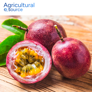 Elite Passion Fruit-Fortalece la inmunidad Sabor de alta calidad Ideal para comidas y aperitivos veganos-De Vietnam Source - Product Image 2