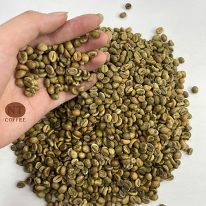 Grains de café vert Arabica du Vietnam, processus naturel, tamis 18, non torréfiés, approvisionnement en vrac, service OEM/ODM, exportateur vietnamien - Product Image 1
